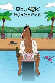 BoJack Horseman (Türkçe Dublaj)