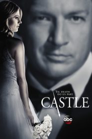 Castle 2009