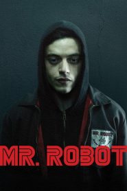 Mr. Robot (Türkçe Dublaj)