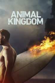 Animal Kingdom US