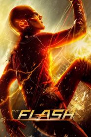 The Flash 2014 (Türkçe Dublaj)