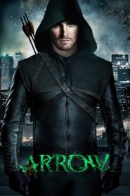 Arrow (Türkçe Dublaj)