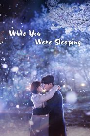 While You Were Sleeping (Asya Dizi)
