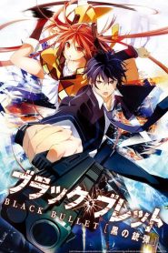 Black Bullet (Anime)