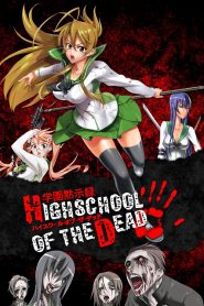 Highschool of the Dead (Anime)