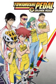 Yowamushi Pedal (Anime)