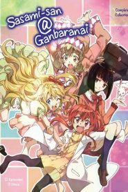 Sasami-san@Ganbaranai (Anime)