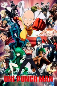 One-Punch Man (Anime)
