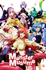Monster Musume no Iru Nichijou (Anime)