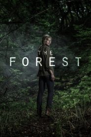 The Forest (Türkçe Dublaj)