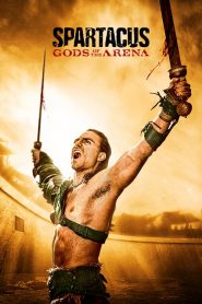 Spartacus: Gods of the Arena (Türkçe Dublaj)