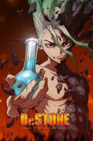 Dr. Stone (Anime)