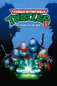 Ninja Kaplumbağalar 2: Sızıntının Esrarı (1991) Türkçe Dublaj izle