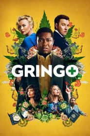 Gringo (2018) Türkçe Dublaj izle