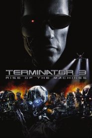 Terminatör 3: Makinelerin Yükselişi (2003) Türkçe Dublaj izle