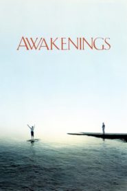 Uyanışlar (1990) Türkçe Dublaj izle