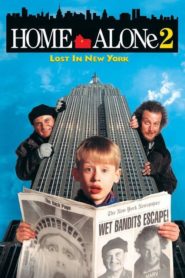 Evde Tek Başına 2 (1992) Türkçe Dublaj izle