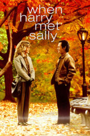 Harry ile Sally Tanışınca (1989) Türkçe Dublaj izle