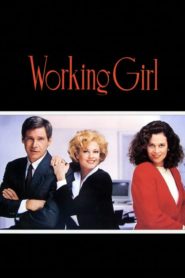 Çalışan Kız (1988) Türkçe Dublaj izle