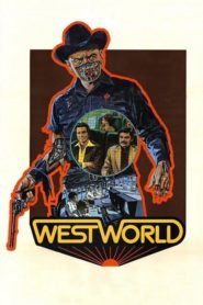 Batı Dünyası (1973) Türkçe Dublaj izle