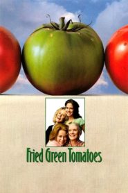 Kızarmış Yeşil Domatesler (1991) Türkçe Dublaj izle