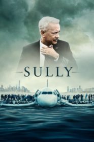 Sully (2016) Türkçe Dublaj izle