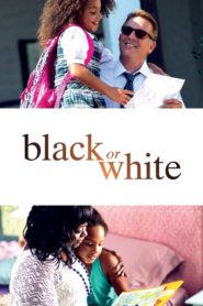 Siyah ya da Beyaz (2014) Türkçe Dublaj izle
