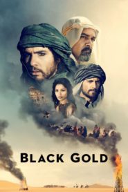 Kara Altın (2011) Türkçe Dublaj izle