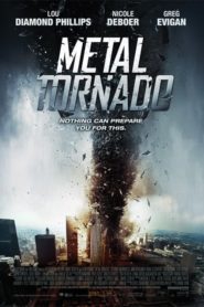 Metal Fırtına (2011) Türkçe Dublaj izle