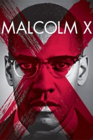 Malcolm X (1992) Türkçe Dublaj izle