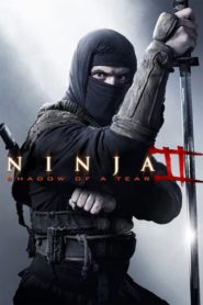 Ninja 2: Gözyaşının Gölgesi (2013) Türkçe Dublaj izle