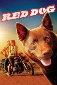 Kırmızı Köpek (2011) Türkçe Dublaj izle