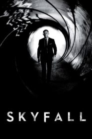 James Bond: Skyfall (2012) Türkçe Dublaj izle