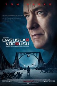 Casuslar Köprüsü (2015) Türkçe Dublaj izle