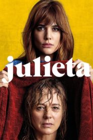Julieta (2016) Türkçe Dublaj izle