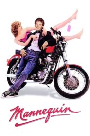 Mannequin (1987) Türkçe Dublaj izle