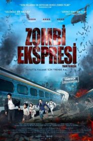 Zombi Ekspresi (2016) Türkçe Dublaj izle