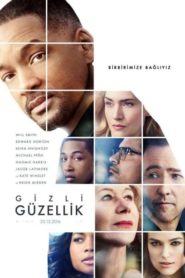 Gizli Güzellik (2016) Türkçe Dublaj izle