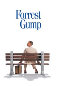 Forrest Gump (1994) Türkçe Dublaj izle