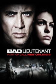 Kötü Polis (2009) Türkçe Dublaj izle