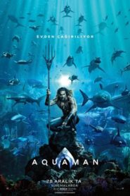 Aquaman (2018) Türkçe Dublaj izle