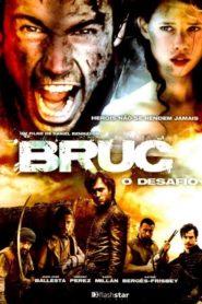 Bruc Efsanesi (2010) Türkçe Dublaj izle