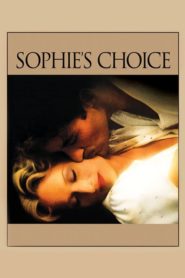 Sophie’nin Seçimi (1982) Türkçe Dublaj izle