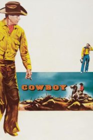 Kovboy (1958) Türkçe Dublaj izle