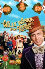 Willy Wonka ve Çikolata Fabrikası (1971) Türkçe Dublaj izle