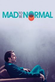 Ah Bir Normal Olsam (2017) Türkçe Dublaj izle