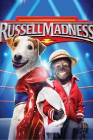 Çılgın Russell (2015) Türkçe Dublaj izle