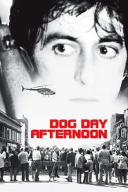 Köpeklerin Günü (1975) Türkçe Dublaj izle