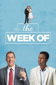 The Week Of (2018) Türkçe Dublaj izle