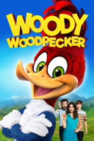 Ağaçkakan Woody (2017) Türkçe Dublaj izle